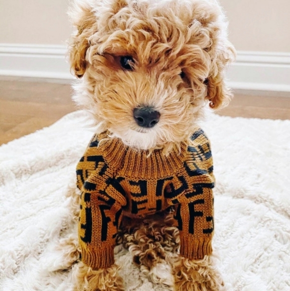 ilovemydog2018